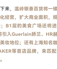 wow��������̩2025��������