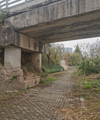 ̨�����������̵������������¡�