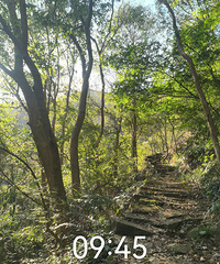 ͽ�������˹ɳ��ԽҰ�������㲽��������-�ž����·�����Ƽ�