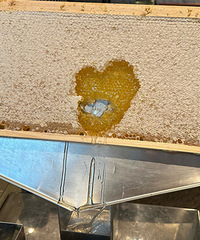 ��һ�μ��������÷���