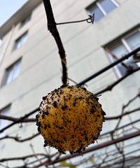 �����ֵ�ˮ���߲�����ȫ�ǳ���ô�죿