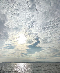 92���������Ҷ����ٺ����ڽ������ѹ�����