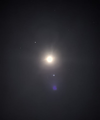 �㿴��������������飬������