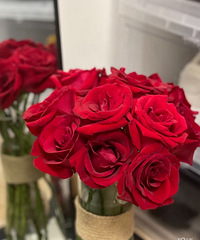 ���Ƕ���һ��ͨ���Ͱ����˳��ܺ�İ���˽����ﻰ