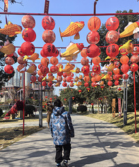 ��ٺ�ˮ�֣����ڹ���������Ѿ�ͦŨ����