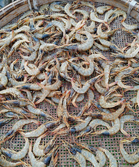 ɹϺ����ѡ��Ϻ���Ұ�ֻҪ��Ϻ��