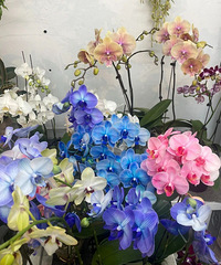 �۸���ˣ��������̨��������������������TA���ϰ壺������Ҫ��