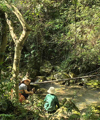 ����������Ϫ�ŵ���Σ��ʺϴ�С������