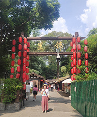 �ø�ʢ���Ľ���Ž֣����������һǽ֮��