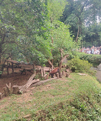 �������ڿ���è������������è��Ц�����ˣ�