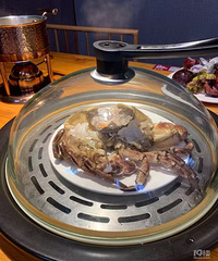 ���۸��᡿Ϊʲô��Ҷ��ǳ��������ȥ������