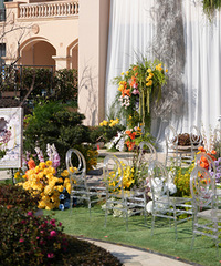 ��������Ҫ��Ȼ��͸