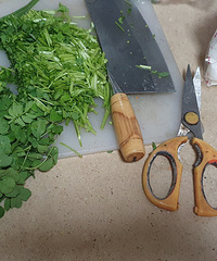 ������⣬���������������������Ҷ������������óԣ�