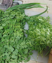 ������⣬���������������������Ҷ������������óԣ�