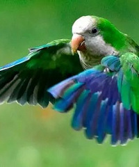 ���������辯�裬����թƭ���壡