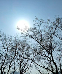 ���������ر�����������ʼӰ��̨��