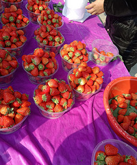 ɳ�����պ�����