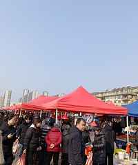 ɳ�����պ�����