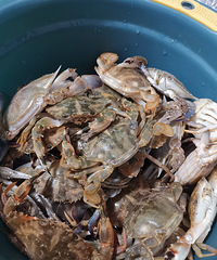 �������ʲô��С�з�Գ���Ϻ�ĸо�