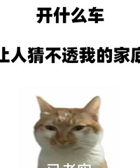 ��ʲô����