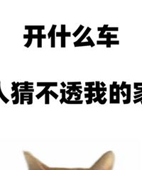 ��ʲô����Ǯ�ܿ���ûɶǮҲ�ܿ�