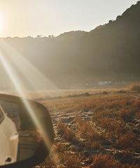 ���쵾����糿���ر���˪�����ж����ЧӦ