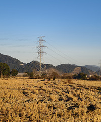 ���쵾����糿���ر���˪�����ж����ЧӦ