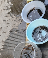 Ұ�����������˲μ�