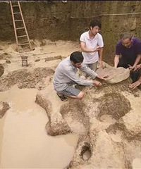 ���缶���볡ȯ����̨���õ�������