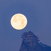 ������¥