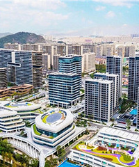 ̨�ݼƻ��ٽ���20������δ������