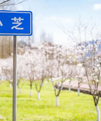 ���㣡�ٺ���������ֱ���ѡ�㽭ʡ5A��4A��3A��������