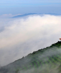 ���㣡�ٺ���������ֱ���ѡ�㽭ʡ5A��4A��3A��������