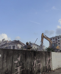 �׶�԰�Ա߶��ڲ�Ǩ��С���ѡ��ԡ���һѧ�ڵĻ�