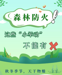 20�棡���׷����ˣ����滹�и��̼��ġ���