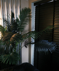 �������ڵĸ��鶼���������ɲ���Ϊ���Ұ��䡣