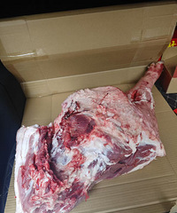 ���˸���PK����ҹ�˾�������ʲô���й�˾����һ��ͷ��