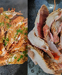 ���ط�˿����Ϻ