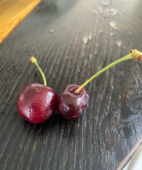 ����������ǿƼ���ݻ���ˮ���𣿳��˳�������