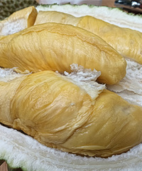 ���¼��³�������̫Ũ�����𲻸ҳ�