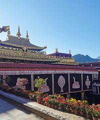 ��������ʷ�ƾ�