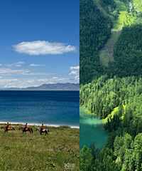 2024ȥ��������Ŀ�ĵ�