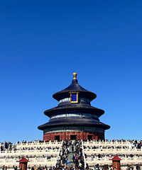 ��ש���ߣ�ƬƬ���꣡��̳��԰ֵ��һȥ