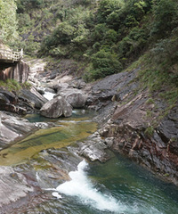 �����٣���Ȼ֮���뾪֮�ý�֯���������