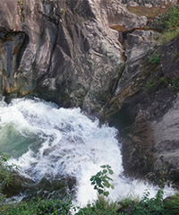 ����̶������Ȼ������䱦֮��