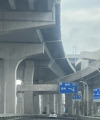 ���۸��ӵĸ߼�Ⱥ