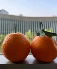 ���������������p�� p���̻��ܰ��ġ��š���