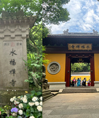 ������������������£�Ҳ����Ư��