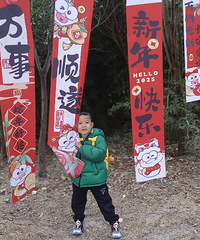 ����԰����ζ