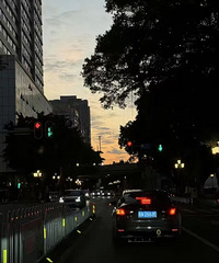 2025������